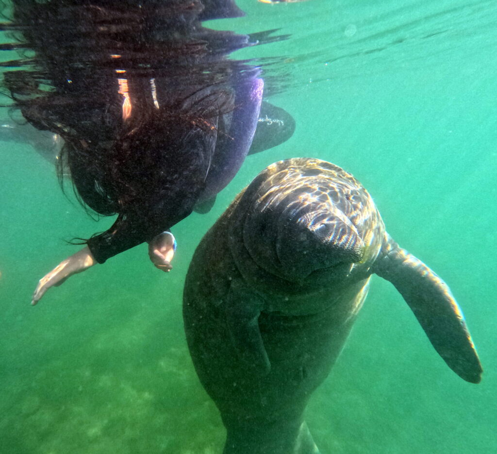 DCIM100GOPROGOPR1372.JPG