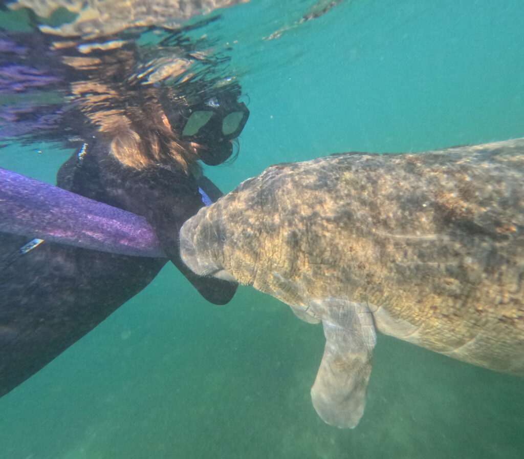 DCIM100GOPROGOPR1239.JPG